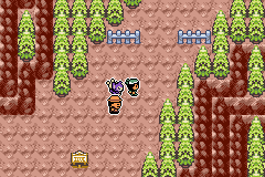 Pokémon Emerald Seaglass 112 teleferico