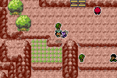 Pokémon Emerald Seaglass desfiladero 2