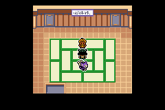 Pokémon Emerald Seaglass gimnasio ciudad petalia