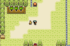 Pokémon Emerald Seaglass llegando a malvalona