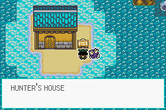 Pokémon Emerald Seaglass partes