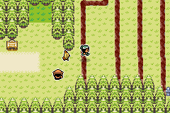 Pokémon Emerald Seaglass regreso 1