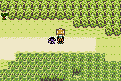 Pokémon Emerald Seaglass route 120
