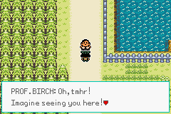 Pokémon Emerald Seaglass ruta 110 abedul