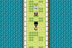 Pokémon Emerald Seaglass ruta 110 rival