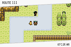 Pokémon Emerald Seaglass ruta 111