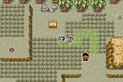 Pokémon Emerald Seaglass ruta 113 2