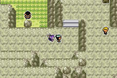 Pokémon Emerald Seaglass ruta 114 2