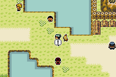 Pokémon Emerald Seaglass ruta 117 combates