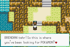 Pokémon Emerald Seaglass ruta 118 rival