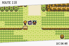 Pokémon Emerald Seaglass ruta 118