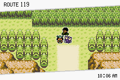 Pokémon Emerald Seaglass ruta 119