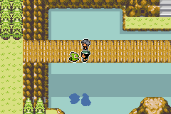 Pokémon Emerald Seaglass ruta 120 maximo