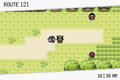 Pokémon Emerald Seaglass ruta 121