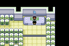 Pokémon Emerald Seaglass sexta medalla