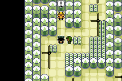 Pokémon Emerald Seaglass sexto gimnasio